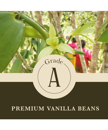 Cooks Organic Bourbon Style Vanilla Bean Paste - 8 oz Puree | Freshest Grade A Premium Gourmet Vanilla Paste - 8 Fl Oz - Buy Online on GoSupps.com