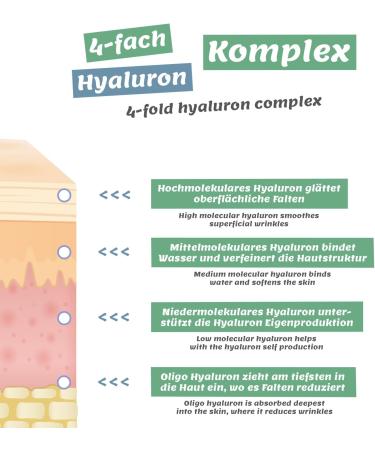 Organic Hyaluronic Serum with Vitamin C/E - 50 ml Vegan - High Dose with 20% Vitamin C - Anti-Ageing Gel with Nourishing Grape Seed Oil and Aloe Vera Against Wrinkles for Face and Decollete - Buy Online on GoSupps.com