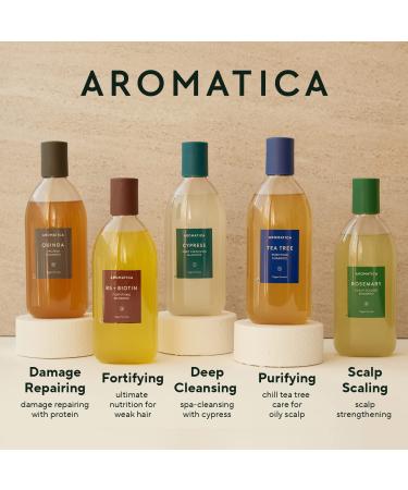 AROMATICA Rosemary Scalp Scrub & Spray Set - Nourish & Protect Hair with Rosemary Oil | Detox & Refresh Scalp from Toxins - Buy Online on GoSupps.com