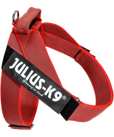 Julius-K9 Red-Grey Belt Harness L/1 | High-Quality Pet Gear for International Shipping - Buy Online on GoSupps.com
