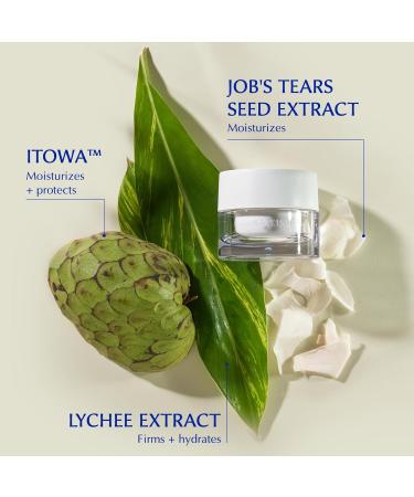 SEKKISEI CLEAR WELLNESS Water Shield Cream - Facial Moisturizer for Sensitive Skin | 1.4 oz - Hydrating & Soothing Ships Internationally - Buy Online on GoSupps.com