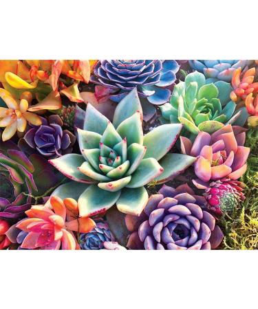 eniref 5D Diamond Painting Kits for Adults - Paint with Diamonds Full Round Drill 5D Diamond Dots Craft Diamond Art Kits - Home Wall Decor and Adults Kids DIY Gift(Succulents 12 X 16 inch)