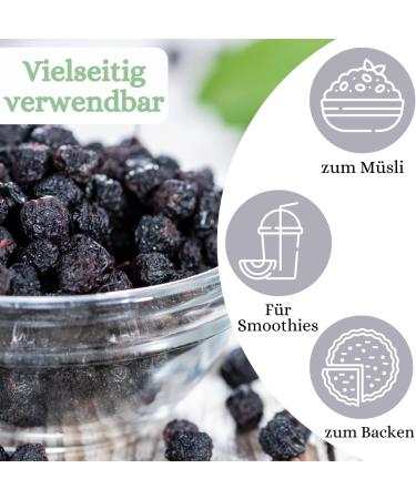  1001 Frucht 1001 Frucht Organic Dried Aronia Berries 500g | Untreated fruity dried fruit from controlled non-GMO cultivation vegan | Unsweetened Austrian Aronia Berries no additives - Buy Online on GoSupps.com