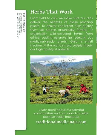 Traditional Medicinals - Organic Green Tea Matcha (Pack of 6) - Traditional Japanese Green Tea - Energizing & Uplifting - 96 Tea Bags Total Green Tea Matcha 16 Count (Pack of 6) - Buy Online on GoSupps.com