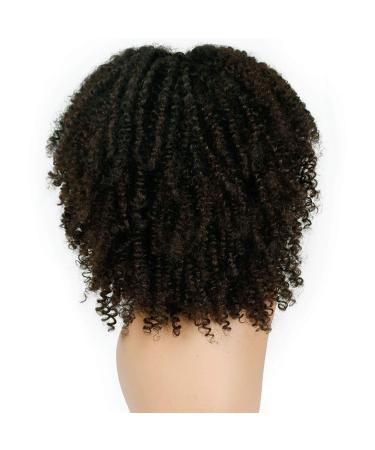 Curly Afro Wig for Dark-Skinned Women | Real Hair Lace Front Loose Synthetic Ponytail - WL9302 - Buy Online on GoSupps.com
