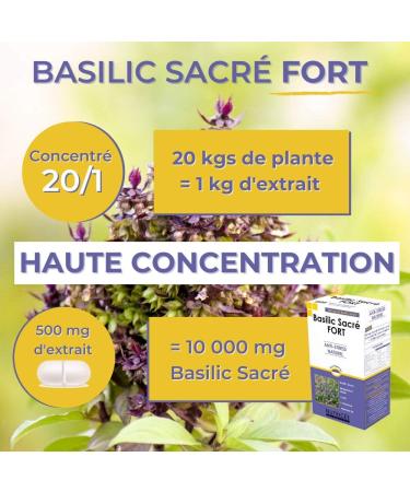 NUTRIG E - Strong Sacred Basil - Balance - Anti-Stress - Wellness - Mood Regulating Against Stress Reduces Fatigue - 2 Takes/Day - 60 Tablets - 30 Day Program - Made in France - Buy Online on GoSupps.com