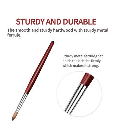 Ailisaail 7Pcs Acrylic Nail Brush Set | Red Wood Handle | Nail Art Brushes for Acrylic Application | Beginner & Professional Acrylic Nail Tools | Sizes 2/4/6/8/10/12/14 - Buy Online on GoSupps.com