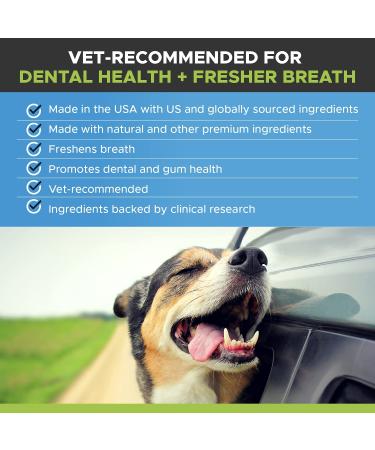 PetHonesty Oral Hygiene Water Additive for Dogs | Natural Dental Mouthwash for Clean Teeth & Fresh Breath | Targets Plaque & Tartar Build-Up - Buy Online on GoSupps.com