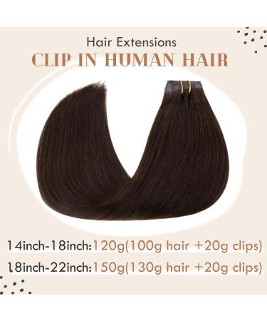 Vivien PU Clip-in Extensions | Real Darkest Brown Remy Hair 16 inch 120g 7PCs - Buy Online on GoSupps.com