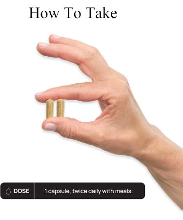 Durable Blood Pressure Benolea Olive Leaf & Enovita Grape Seed Extract Healthy Circulation Nitric Oxide & Artery Support Doctor Formulated Vegan Non-GMO Made in USA (60 Capsules) 60 Count (Pack of 1) - Buy Online on GoSupps.com