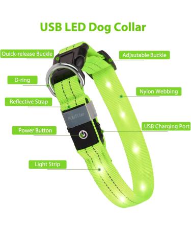 PCEOTLLAR Luminous Dog Collar - Adjustable LED Light Neck Band for All Dog Sizes (Green 28-40cm) - Flashing Reflective Safety Accessory - Buy Online on GoSupps.com