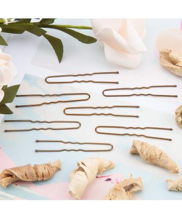 200pcs Bronze U Shaped Hair Pins Kit for Women & Girls - AIEX Bobby Pins for Hairdressing Salon - Buy Online on GoSupps.com
