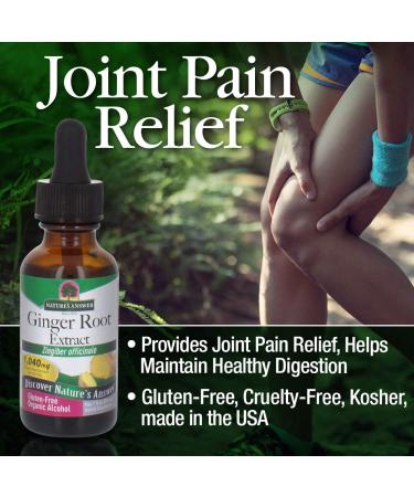 Nature's Answer Ginger Root Extract - Organic Joint Pain Relief & Digestive Support | 1 oz - Buy Online on GoSupps.com