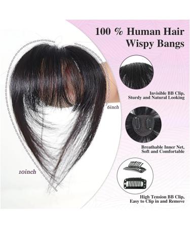 Bangs Hair Clip Human Hair Hairpieces Toppers for Women Wispy Fake Clip in Bangs Black Brown Air Bang Fringe Blunt Bangs Clip in Hair(Color:Black Thick Bang) 1 piece Black Thick Bang - Buy Online on GoSupps.com