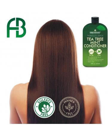 Buy First Botany Tea Tree Oil Conditioner 16 fl oz | Anti Dandruff & Itchy Scalp Relief | Sulfate & Paraben Free | Prevents Head Lice & Thinning Hair - International Shipping - Buy Online on GoSupps.com