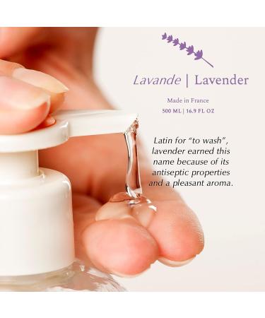 Provence Sante Lavender Liquid Soap - 16.9 oz Bottle - Buy Online on GoSupps.com