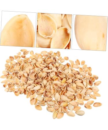 NUOBESTY Pistachios 1 Pistachio Shell Craft for Kids Crafts Supplies for Kids Handmade Supplies Turkey Child Natural As Shown 2X1.2CM - Buy Online on GoSupps.com
