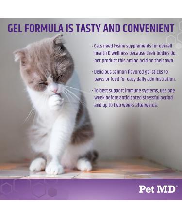 Pet MD Lysine Support Gel for Cats - Allergy & Immune Support - Salmon Flavour - 50mL - Buy Online on GoSupps.com