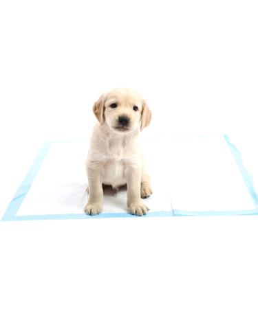 Chucks Pads Disposable 50-Pack Underpads 23x36 | Absorbent Incontinence Chux Pads for Babies, Kids, Adults & Elderly | Leak Proof Bed Pads - Buy Online on GoSupps.com