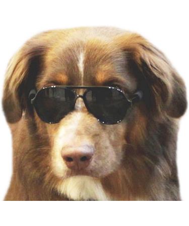 Aviator Sunglasses for Medium Dog Breeds 20-40 lbs - Black | Style Vault G010 Pet Costume - Buy Online on GoSupps.com