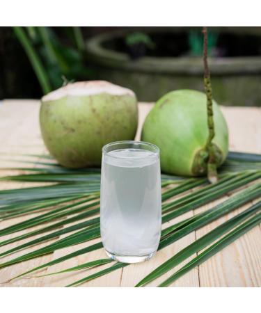  Bamboo Tree Bamboo Tree Coconut Water 12 x 330 ml Multipack - Buy Online on GoSupps.com