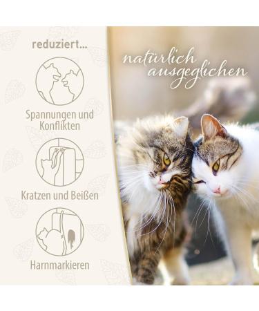 Felisept Family Comfort Starter Set for Multi-Cat Households | Natural Cat Sedative & Relaxation Agent (Evaporator + 45ml Flakon) - Buy Online on GoSupps.com