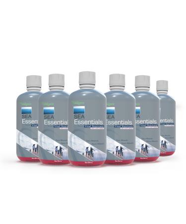 Wellgenix Sea Essentials Coral Calcium Liquid Vitamin for High Absorption - Nutritional Multivitamin Supplement - Sea Berry Flavor (32 oz) (6 Pack)