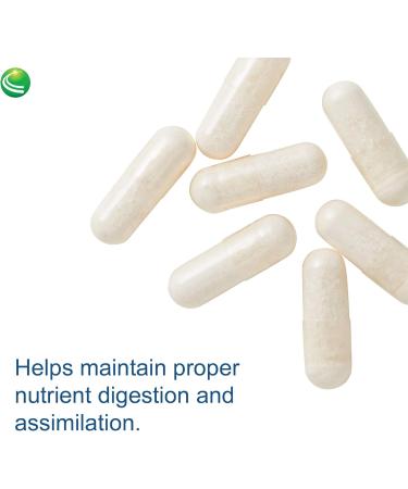 Nutra Biogenesis PanZyme - Betaine HCL with Pepsin Pancreatin Lipase and Protease Cellular Energy Nervous System and Metabolic Health Support - 180 Capsules - Buy Online on GoSupps.com