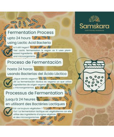  Samskara Pea Protein Powder (83%) | Organic Organic | Fermented | Smooth Neutral 100% Natural | Samskara (3 kg) - Buy Online on GoSupps.com