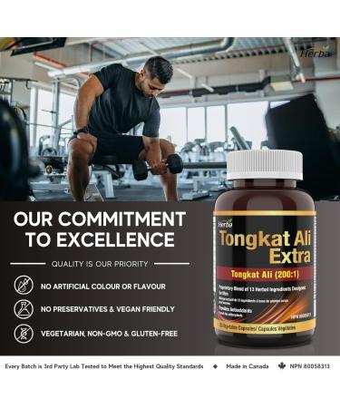 Herba Tongkat Ali Supplement for Men - 200:1 Extract 10 000mg Raw Tongkat Ali Equivalent | 120 Vegetable Capsules | Premium Tongkat Ali Extract Plus Extra | Made in Canada 120 count (Pack of 1) - Buy Online on GoSupps.com