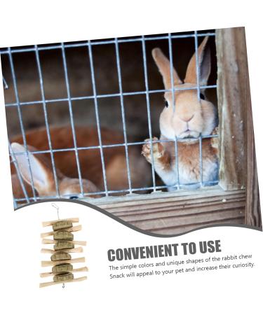 BESPORTBLE Rabbit Chew Snack for Teeth Parrots Biting Playthings Small Pet Chew Snack - Buy Online on GoSupps.com