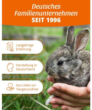 Petifool Flower Festival 380g - Natural Supplementary Food for Rodents | 100% Species-Appropriate Feed for Rabbits Guinea Pigs Hamsters & More - Buy Online on GoSupps.com