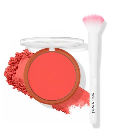 wet n wild Date Or Dominate Blush And Brush Set