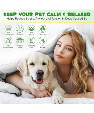 Calming Dog Diffuser | Pheromone Starter Kit for Anxiety Relief | Pet Supplies for Anxious Dogs | UK Plug | 48ml - Buy Online on GoSupps.com
