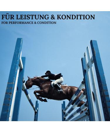 Stiefel Mag-Power Liquid 1 Liter Dosierflasche - Buy Online on GoSupps.com