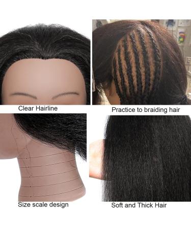 14 Inch D-D Mannequin Head with 100% Real Human Hair for Hairdresser Practice - Free Clamp Stand Included - Buy Online on GoSupps.com