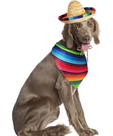 Dog Sombrero Hat & Bandana Set for Cinco De Mayo Fiesta - Multicolor Straw Mexican Hat and Pet Triangle Bib Costume - Buy Online on GoSupps.com