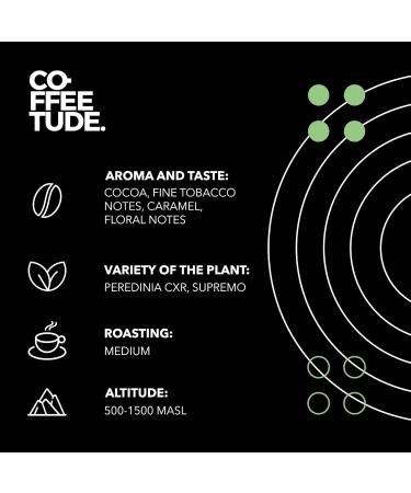 Coffeetude Utopian Harmony Blend (400g 14oz) Exclusive Arabica and Robusta Coffee Blend Whole Coffee Beans Medium roasted Ideal for Espresso Cappuccino Macchiato Latte Mocha Dark Chocolate 400 g (Pack of 1) - Buy Online on GoSupps.com