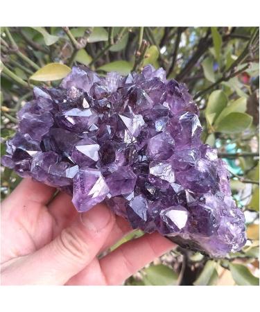 Amethyst Rough Stone 540-560g Natural Dream Amethyst Quartz Crystal Cluster Specimen - Buy Online on GoSupps.com