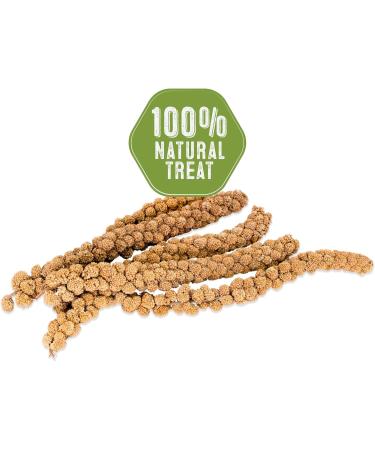 Living World 82476 Spray Millet for Birds 200gm 7-Ounce 200 g (Pack of 1) - Buy Online on GoSupps.com