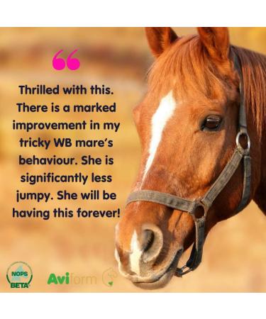 Aviform EQUABLE | Natural Horse Calmer Supplement | 1Kg Compostable Pouch | Relieves Stress and Enhances Focus | Express Delivery Available - Buy Online on GoSupps.com