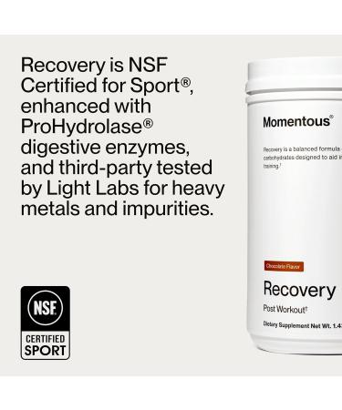 Momentous Recovery Grass-Fed Whey Protein Powder - 20 g Post-Workout Whey Isolate Protein - NSF Certified for Sport - Gluten-Free - 15 Servings - Chocolate - Package May Vary Chocolate 1.43 Pound (Pack of 1) - Buy Online on GoSupps.com