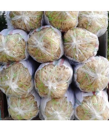 Sea Moss Dried Sea Vegetable Seaweed 300g - Buy Online on GoSupps.com