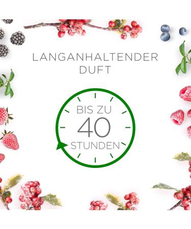 Air Wick WohlleVentuftkerze XL - Blackberry & Elderflower Candle | 40 Hours Burn Time | 220g Natural Essential Oils | International Shipping - Buy Online on GoSupps.com