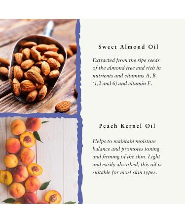 Absolute Aromas Kit de D marrage Huiles de Support 50ml - Pack de 5 comprenant une Amande Douce un Noyau d'Abricot une Noix de Coco Fractionn e un P pin de Raisin et un Noyau de P che 250 ml (Lot de 1) - Buy Online on GoSupps.com