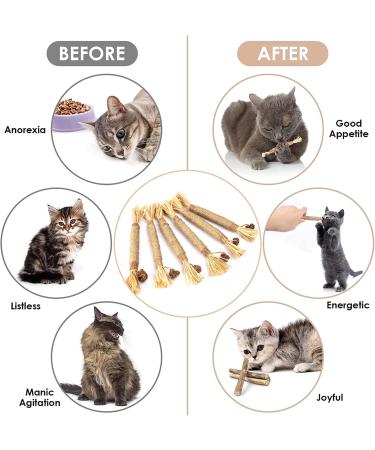 Kitten Teething Toys 6 Pcs Natural Silvervine Sticks Kitten Teething Toys Catnip Toys Chew Sticks Cat Teeth Cleaning Teeth Chew Toy for Indoor Cat Teeth Cleaning Kitten Teething and Stress Release - Buy Online on GoSupps.com