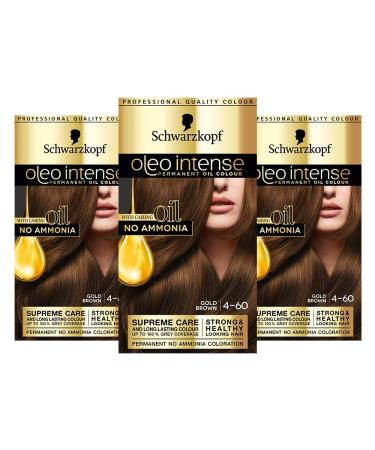 Schwarzkopf Oleo Intense Brown Hair Dye 3-Pack Permanent Oil Colour No Ammonia Covers Greys Gold Brown 4-60 Gold Brown 3 count (Pack of 1)