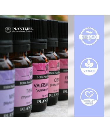 Plantlife Peppermint Aromatherapy Essential Oil - Straight from The Plant 100% Pure Therapeutic Grade - No Additives or Fillers - 30 ml Peppermint 1 Fl Oz (Pack of 1) - Buy Online on GoSupps.com