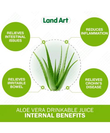 Pure Aloe Vera Juice Unflavoured 500 ml - Cold-Processed from Organic Fresh Leaves for Intestinal Issues Made In Canada (Pack of 2) 500 ml (Pack of 2) - Buy Online on GoSupps.com