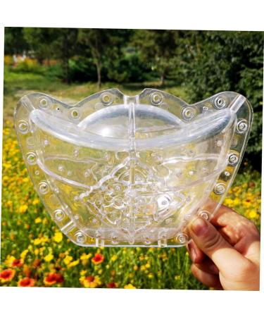 CIYODO Fruits Mold Square Mold Pumpkin Mold Clear Fruit Plastic Fruit Small Growing Mold Ginseng Watermelon Plant - Buy Online on GoSupps.com